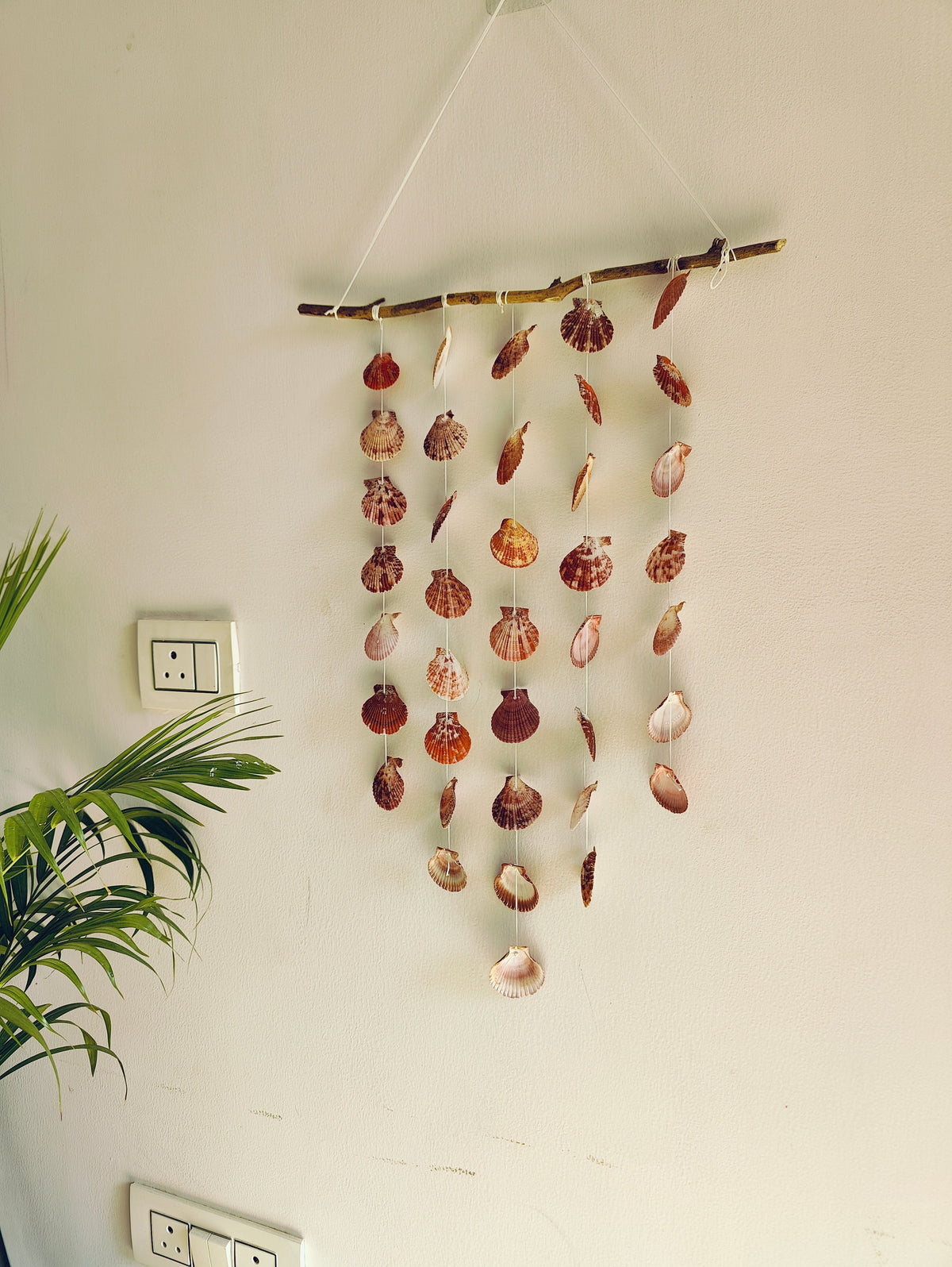 Natural Shell Strand Branch Hanging - view 1