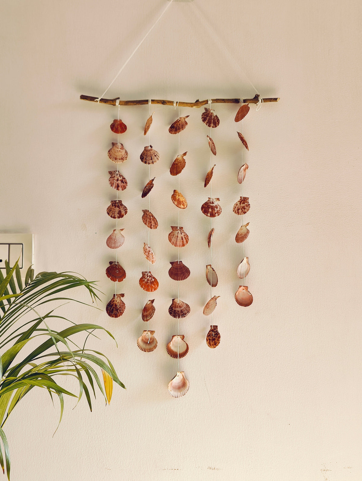 Natural Shell Strand Branch Hanging - view 2