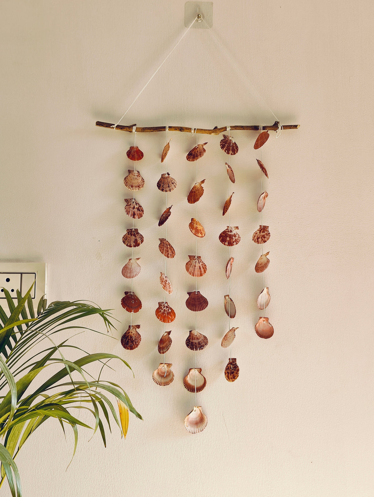 Natural Shell Strand Branch Hanging - view 3