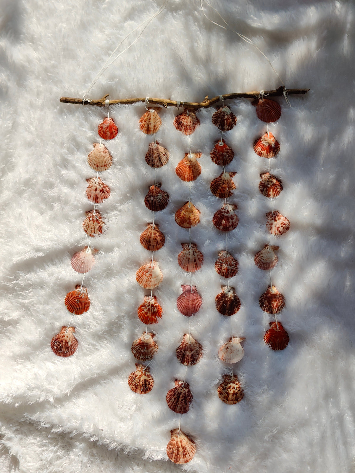 Natural Shell Strand Branch Hanging - view 4