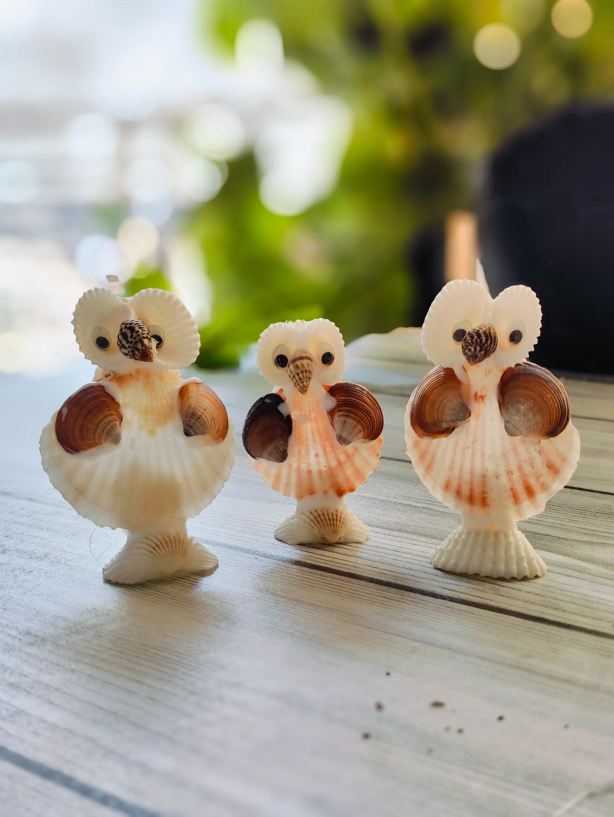 Natural Shell Owl Figurine Set - view 6