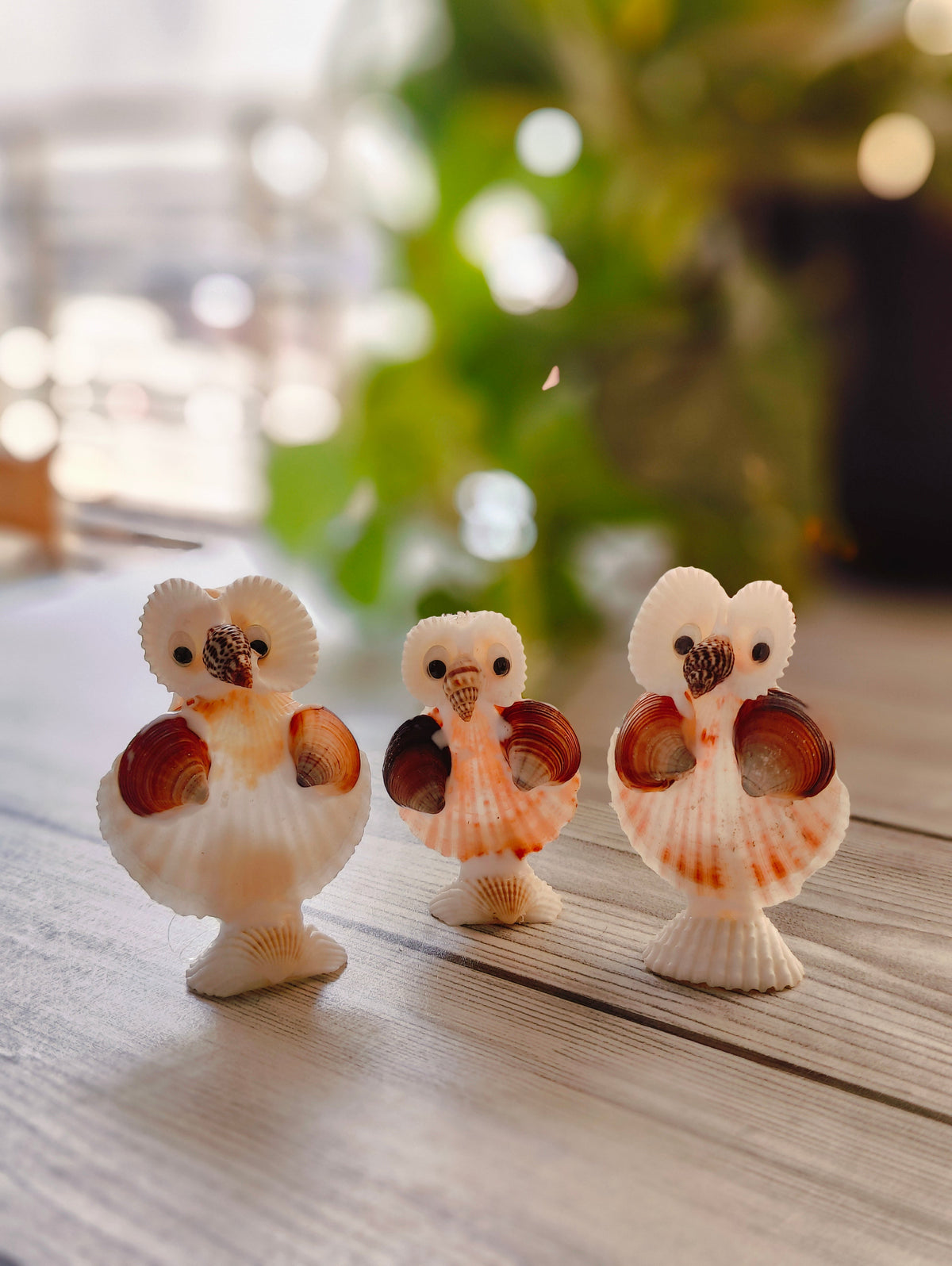 Natural Shell Owl Figurine Set - view 4